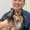 건강하게 동물병원 이미지
