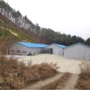 장평1리 마을회관 이미지