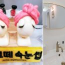 아르떼 아이래쉬