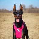 남산돈까스(16호) 이미지