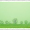 푸른잔디 이미지