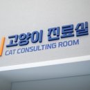 수서동물병원 네이버블로그