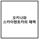 스카이렌트카 티스토리