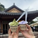 꽃무릇 | 고창 선운사 템플스테이 후기 : 꽃무릇 보러갔지만... 못 보고 옴