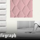 King Boxing Gym 이미지