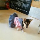 수원-0643 이미지