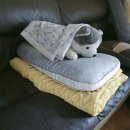 다사태권스쿨 이미지