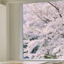 디어봄(Dear.봄)