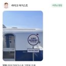 강릉제일고(버스정류장) | 강릉역 소품샵 고래책방, 라이크어거스트, 삶은 감자, 오어즈후기