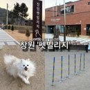강아지놀이터 | 창원 펫빌리지 강아지 놀이터 운영시간 무료 애견 운동장 방문 후기