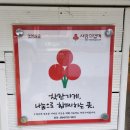 청자네식개집