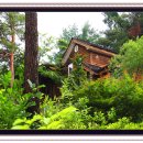 메이페어 데네브 이미지