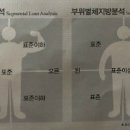 피노키오 복싱 이미지