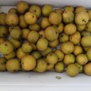 용화산로 이미지