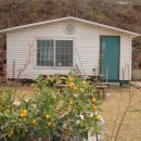 내농장 Daum카페