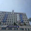 강남마을 써미트빌4단지 | 부천 대장단지부터 선도지구까지! 1기 신도시 임장...센트럴파크,진달래써미트빌,삼보, 은하마을대우동부)