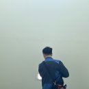 정읍단풍미인조합공동사업법인 이미지