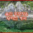 왕피천계곡민박 | 경상도 추천여행지 - 울진 후포항&amp; 왕피천 계곡