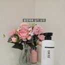 베베블랑 | 건성비듬샴푸 찾다가 써본 블랑베베 실키 샴푸 직접 사용 후기