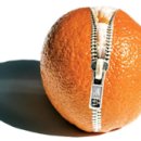 뽑기대장 이미지