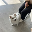 카페 만월경 수지 죽전점