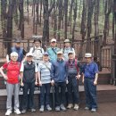 우면산5-13 이미지