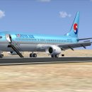 FSX Posky 737-600 winglet AirBusan 이미지