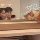 밍그루밍 이미지