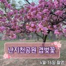 난지천3(축구장) | 난지천공원 겹벚꽃 개화, 주차장 이용 후기 (마포/고양 근교)