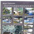 북상용암정 이미지