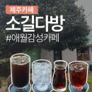 애월읍 소길리풋감마을 | 제주 애월 카페 제주바이브 가득 한적함이 좋은 소길다방 주차 메뉴 공간소개