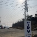 경기 안산 : 대부도 독채 펜션 알라딘 펜션 오션뷰 보며 힐링하고 온 후기