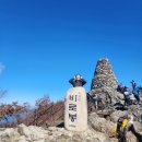 구룡상회 이미지
