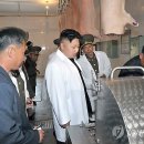 돼지부대