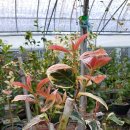 청용정비 이미지