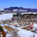 세종중앙공원 이미지