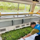 2025 순천 댕댕트레인 이미지