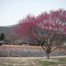 인흥마을 이미지