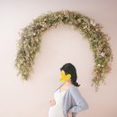 88제육 안양점 | (임신30주) 안양 애니스튜디오 만삭촬영 후기 - 만삭촬영 준비물, 할인꿀팁 (공구방법)