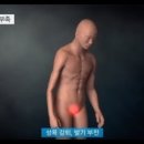 산약초이야기 이미지
