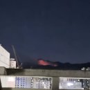 미남역에서도 산불이 보여요ㅜ 이미지