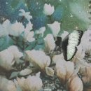 이슬 세탁소 이미지