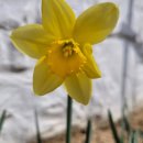 개화펜션 이미지