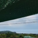 경화민박