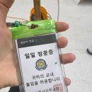 부산천사의학교 이미지