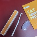 럭키덴탈 | 고양이 치아관리 미리 시작해요- 캣디피 덴탈 고양이 초극세사모 칫솔 VER2 (고양이 칫솔 추천)