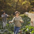 회춘경로당 이미지