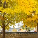 전주향교 이미지