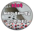 체리쉬독 이미지