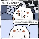 밀린 일상 5
